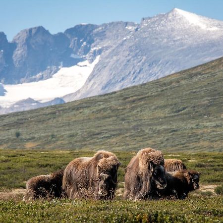 Furuhaugli Fjellhytter Vålåsjø Kültér fotó